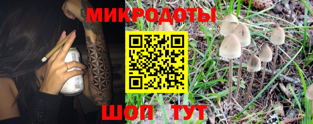 Псилоцибиновые грибы прущие грибы Тамбов