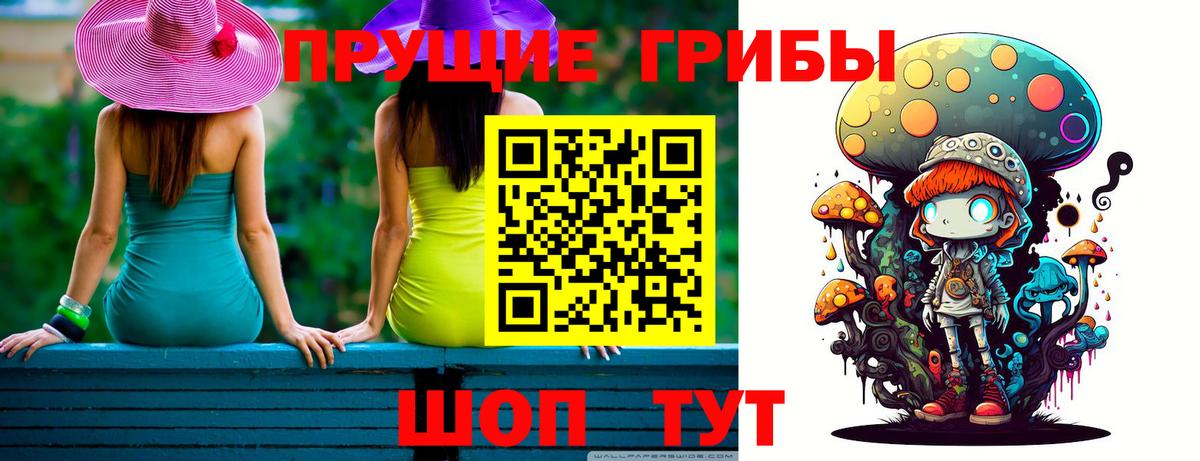 Псилоцибиновые грибы Psilocybe  Вход с VPN  Тамбов 
